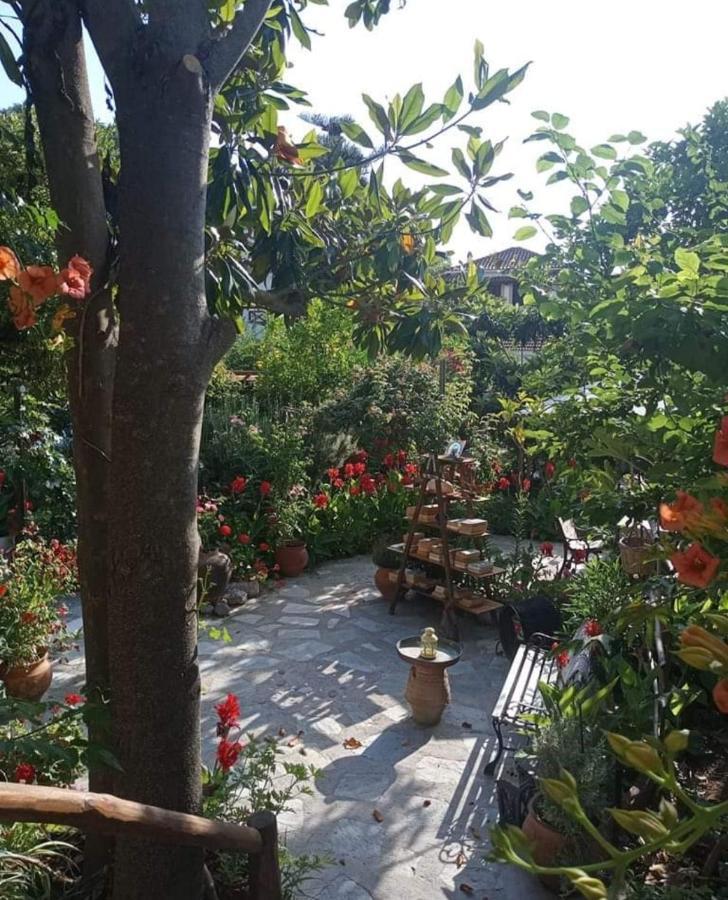 فندق Stamatia'S Garden Agnontas المظهر الخارجي الصورة
