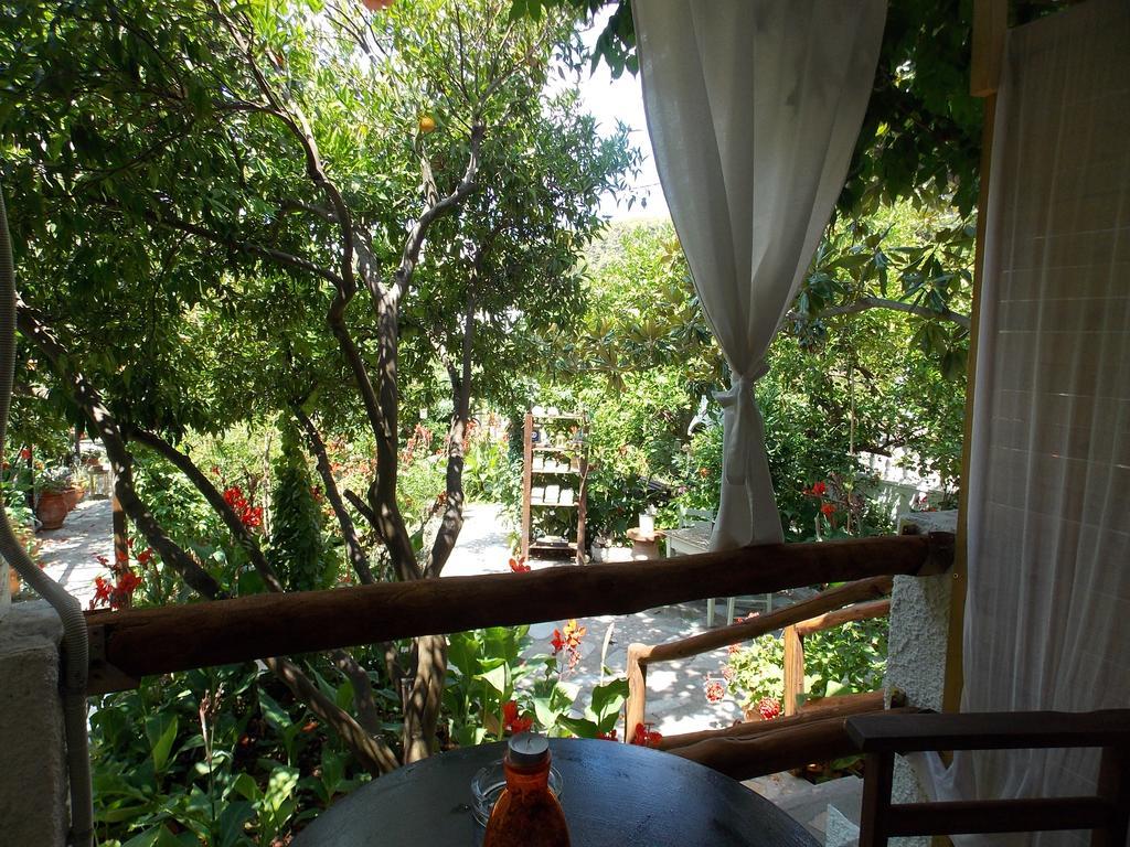 فندق Stamatia'S Garden Agnontas المظهر الخارجي الصورة